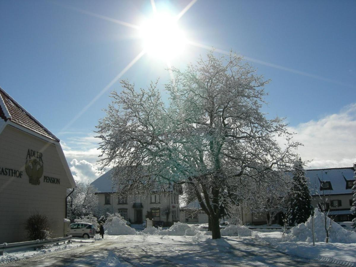 Pension Adler Bannholz Esterno foto